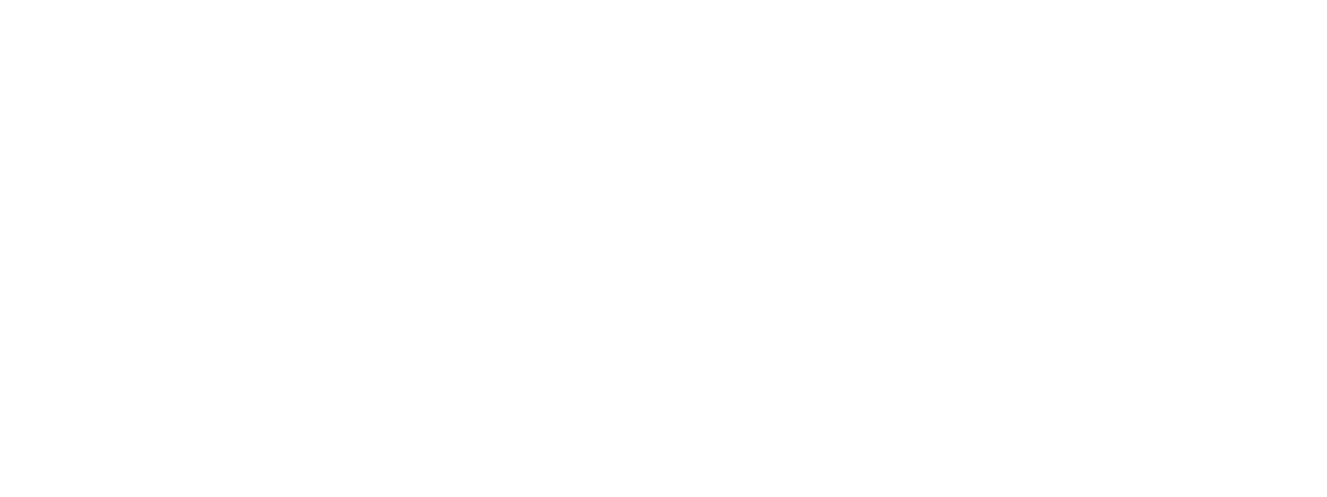 logo1